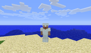 Silver armor