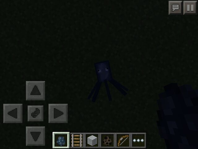 File:Baby squid.jpg