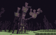 The Outer End