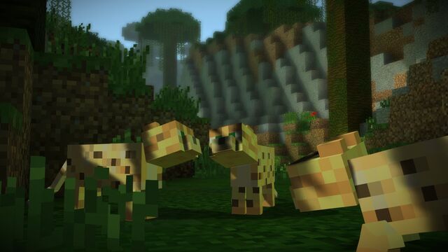 File:Ocelots1.jpg