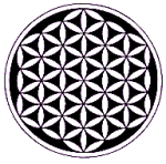 Fol