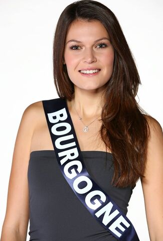 Fichier:Bourgogne2014.jpg