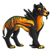 Normal lirionox