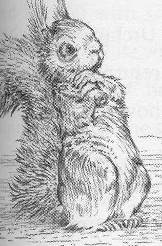 File:Urchin2.jpg