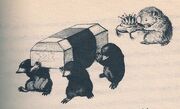 Spindle's Coffin
