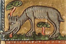 Catoblepas medieval