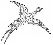 Jingwei.png