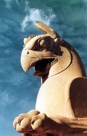 Homa.jpg