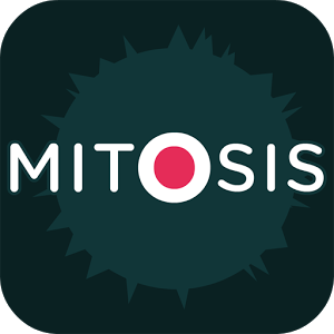 File:Mitosis.png