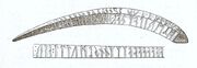Lindholm amulet.jpg