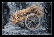 Thatchers cart.jpg