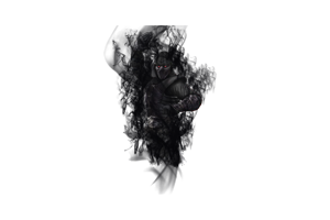 File:Shadow(2).png