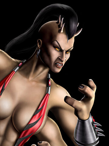 File:Sheeva screen.jpg