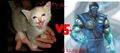 Thumbnail for version as of 15:11, December 17, 2011