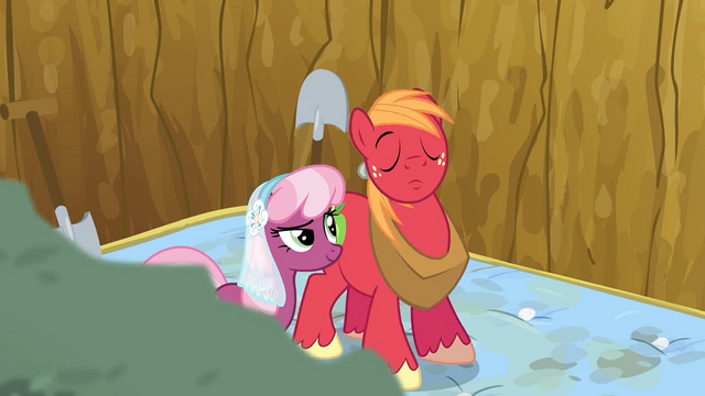 File:Seems fair to me S2E17.png