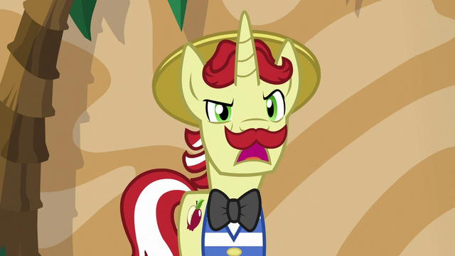File:Flam "he'll tell you all about it" S6E20.png