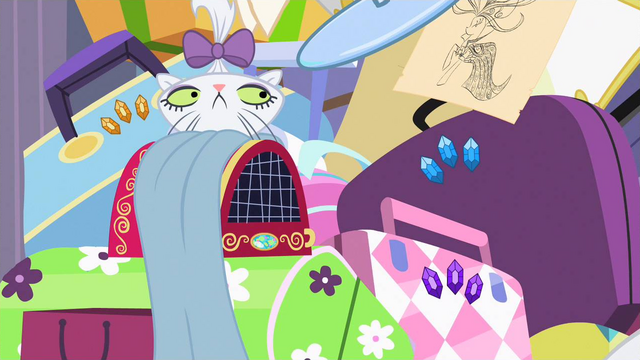 File:Opalescence staring at Rarity writing the letter to Twilight S2E09.png