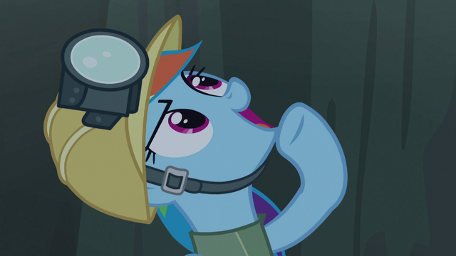 File:Rainbow "what took you so long, doofus?" S5E8.png
