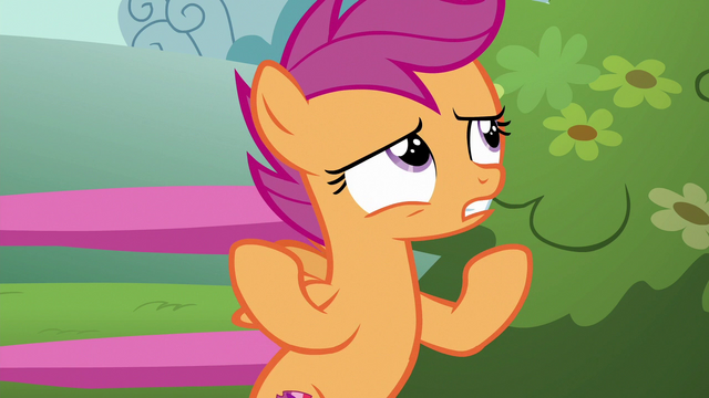 File:Scootaloo "griffon-getting-a-cutie-mark thing" S6E19.png