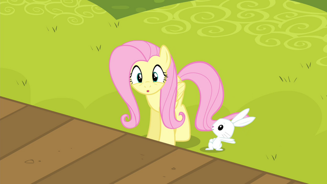File:Fluttershy 'No!' S4E14.png
