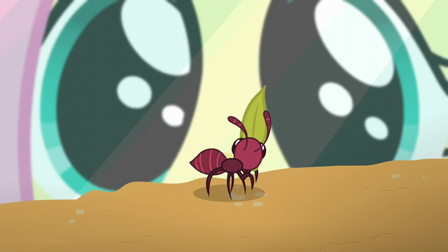 File:Ant looks at Fluttershy S5E19.png