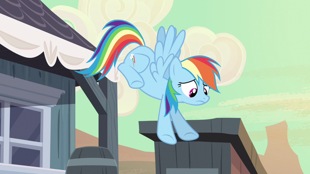 File:Rainbow Dash why didn't S2E14.png