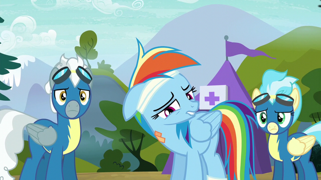 File:Rainbow Dash "been my dream my whole life" S6E7.png