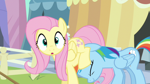 File:Fluttershy surprised S3E2.png