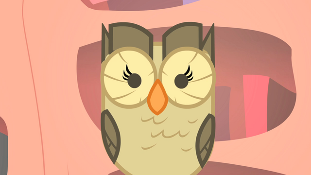 File:Owlowiscious staring S1E24.png