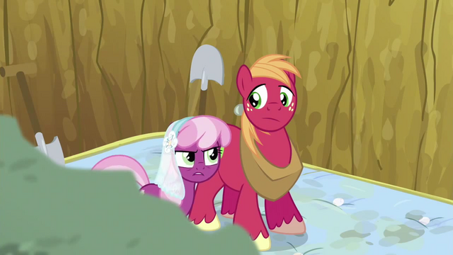 File:Cheerilee Punishment S02E17.png