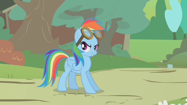 File:Rainbow with flying goggles S01E10.png