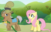 Mister Greenhooves