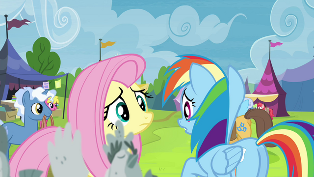 File:Rainbow Dash "didn't tell us what kind he wanted" S4E22.png