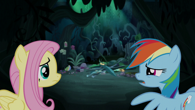 File:Rainbow "I don't think he'd make it through the night" S6E11.png
