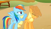 Rainbow Dash and Applejack competing S1E13.png