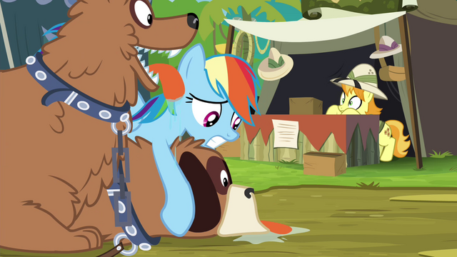 File:Rainbow Dash reaches collector's stall again S4E22.png