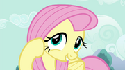 S04E16 Fluttershy...cute.png
