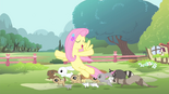 Fluttershy con sus amigos animales T4E10.png