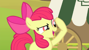 S04E17 Dumna Apple Bloom.png