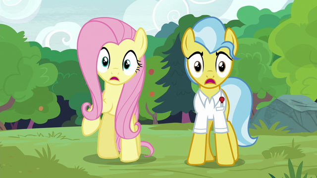 File:Fluttershy and Dr. Fauna gasp in shock S7E5.png