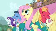 Fluttershy and the Ponytones S4E14.png