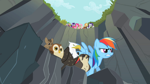 File:Rainbow Dash about to start race S2E7.png