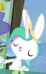 Angel celestia.png