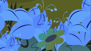 Giftschleiche.png