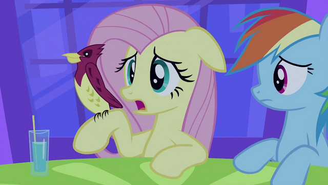 File:Fluttershy with bird S2E25.png