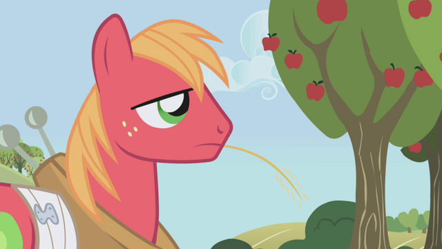 File:Big McIntosh "eeyup" S1E04.png