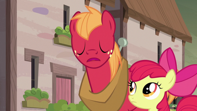 File:Big McIntosh "uh-uh" S7E8.png