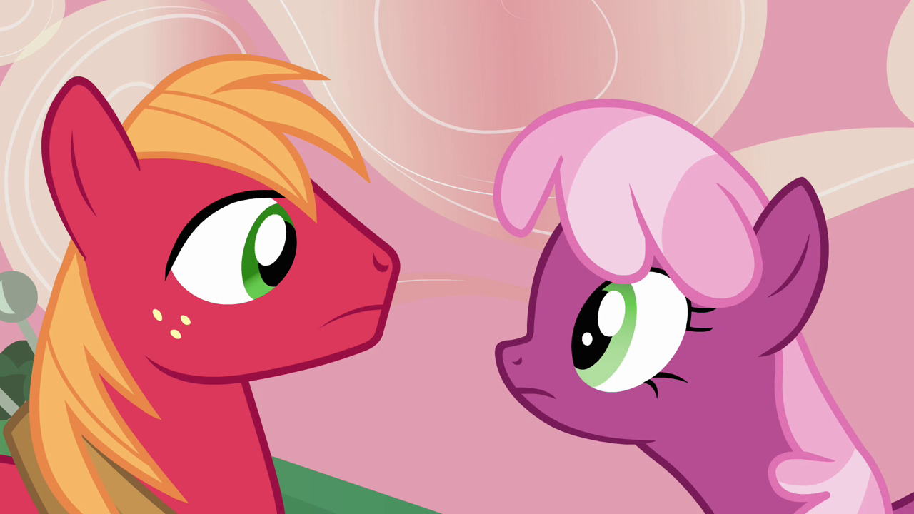 My Little Pony Friendship Is Magic Big Macintosh