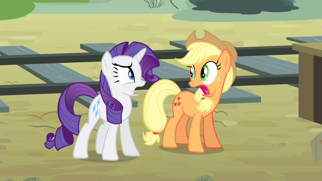 File:Applejack and Rarity 'We did' S4E11.png