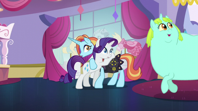 File:Rarity and Sassy looking at Incidental Pony S5E14.png